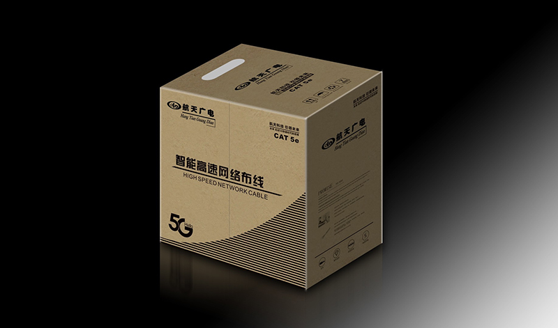 智能高速網(wǎng)絡布線  CAT 5e